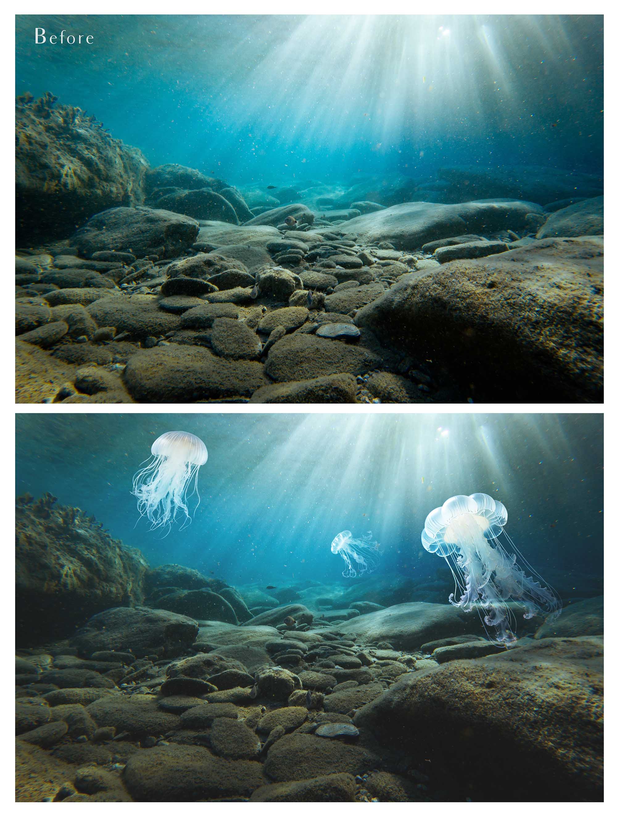 Jellyfish and underwater bubbles Photoshop brushes for photography and digital design.  Digital Stamps for scrapbooking, photography and graphic design. Assets and Add ons. High resolution digital files.  ATP Textures